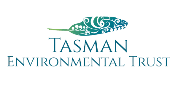 Tasman Environmental Trust, Avoca web design client