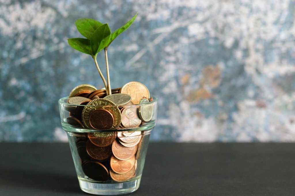 plant growing from coins in vase, metaphor for the cost of building websites.